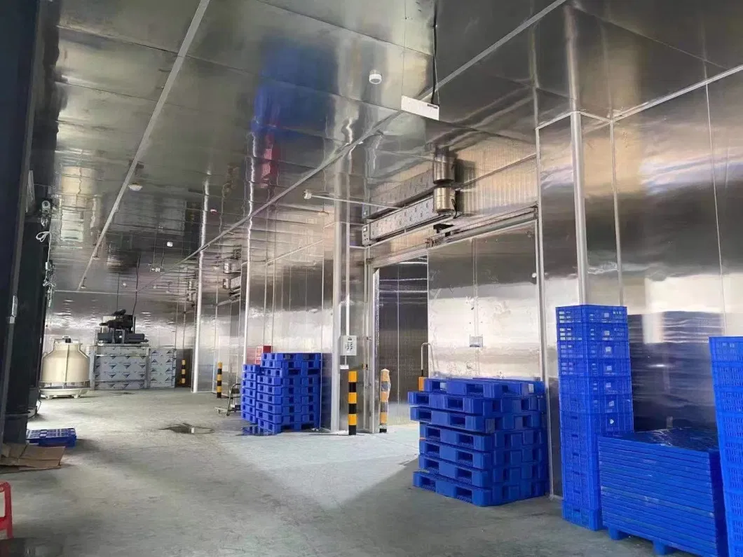 Walk in Freezer Room for Cold Storage Refrigeration System Refrigerator