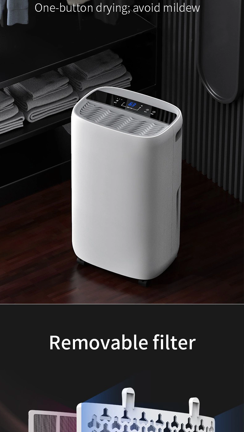 Hot Selling 10L Capacity Compressor Dehumidification Technology Air Dehumidifier