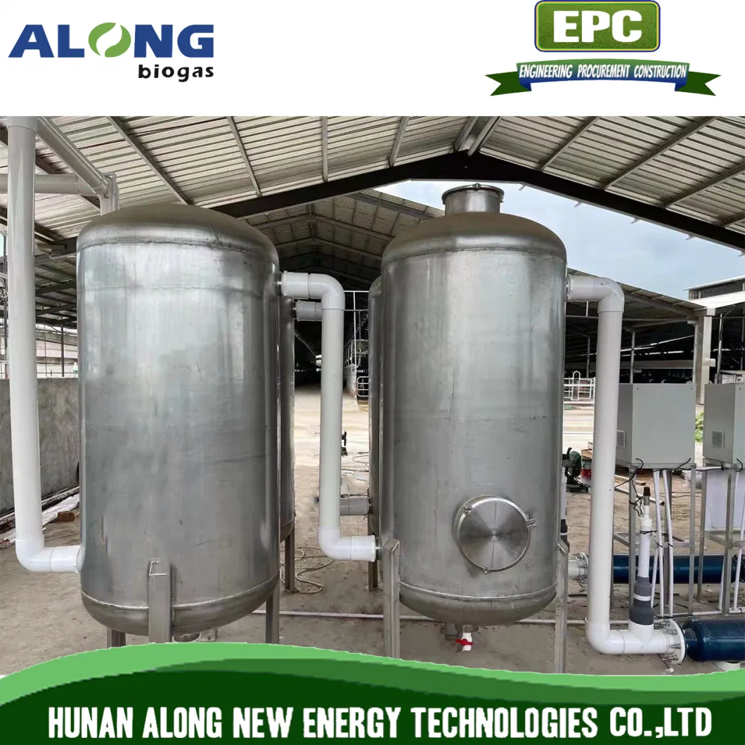 500m3/H Biogas Desulfurization Dehumidification Scrubber Tower System