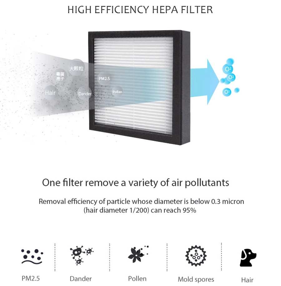 China Manufacturer HEPA Filter ABS Plastic 1000ml Air Purifier Dehumidifier for Home