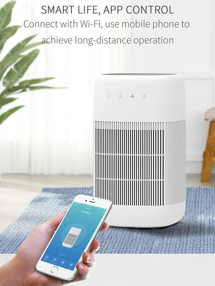 2 in 1 Home Household Mini Portable Air Purifier Peltier Dryer Dehumidifier