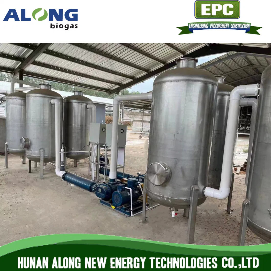 500m3/H Biogas Desulfurization Dehumidification Scrubber Tower System