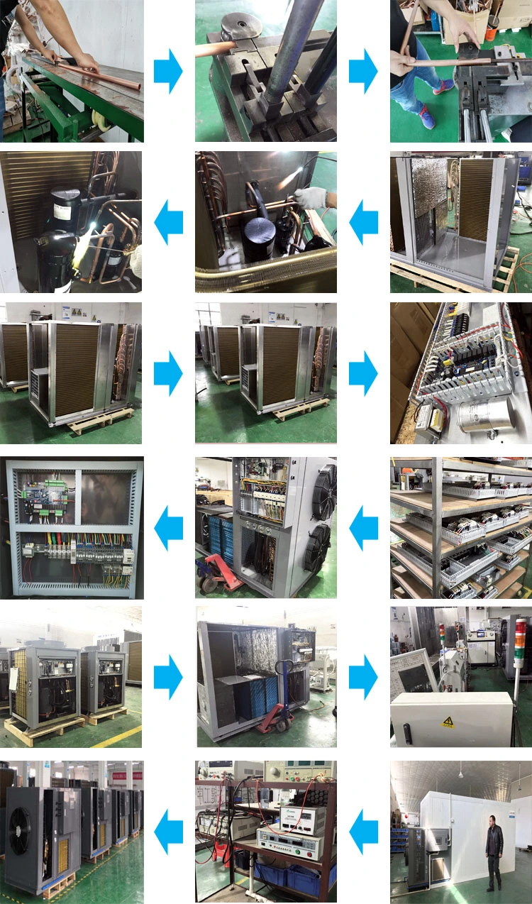 Hot Air Fruit and Vegetable Dryer Industrial Fish Dehydrator and Heat Pump Nut Food Drying Machine Meat Dehumidifier