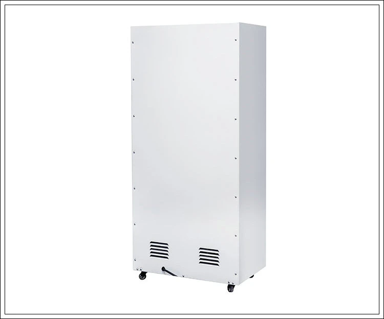 Dy-6240eb Economical Industrial Dehumidifier with Metal Housing