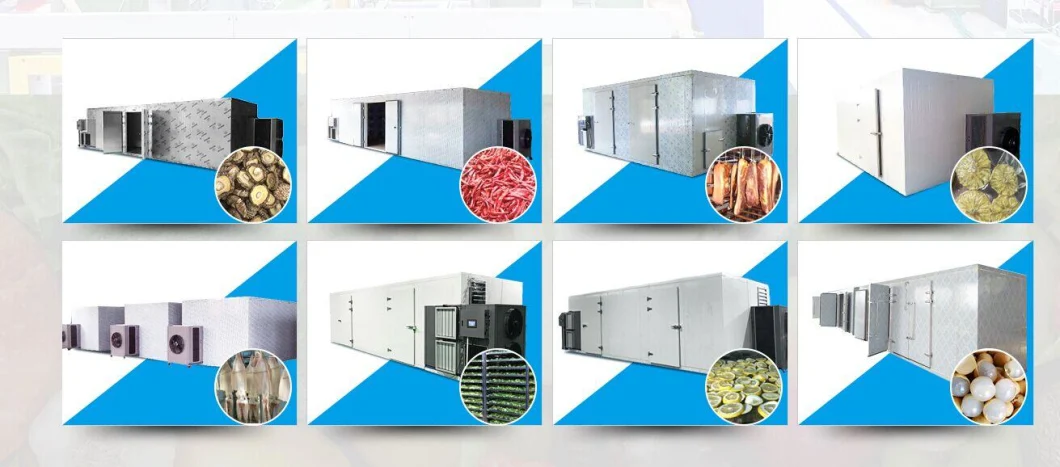 Hot Air Fruit and Vegetable Dryer Industrial Fish Dehydrator and Heat Pump Nut Food Drying Machine Meat Dehumidifier