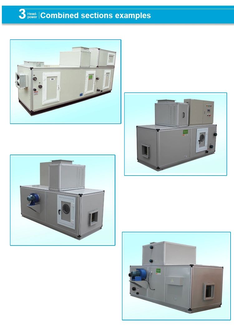 Made in China Desiccant Rotor Dehumidifier for France Market