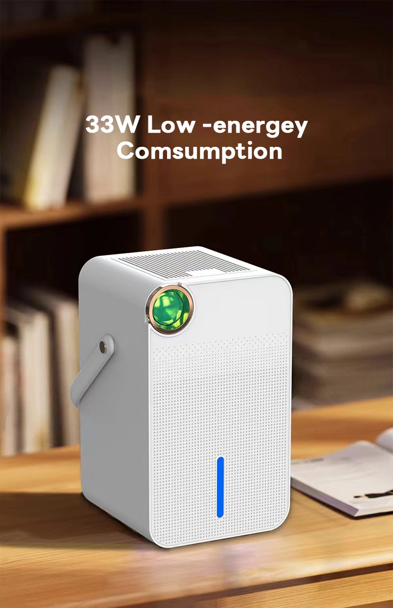 Semiconductor Electric Dehumidifier and Air Purifier Poratble Dehumidifier