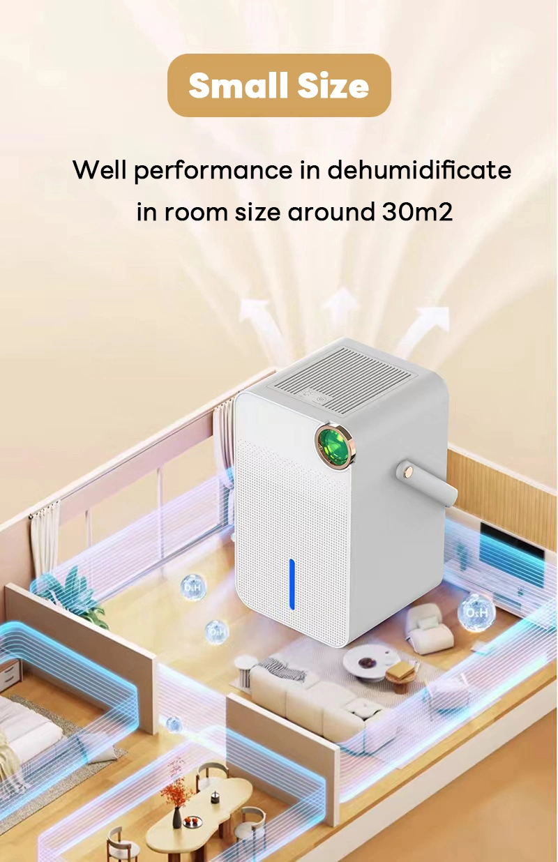 Semiconductor Electric Dehumidifier and Air Purifier Poratble Dehumidifier