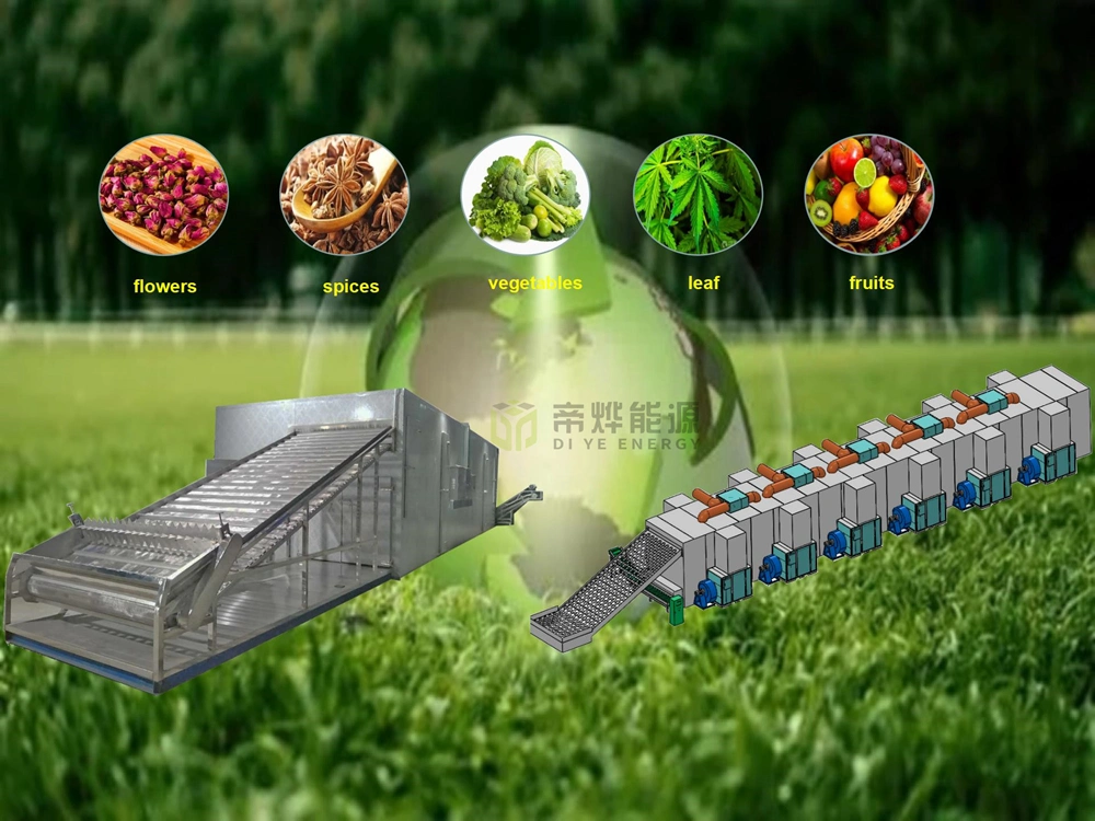 Large Capacity Avocado Heat Pump Hot Air Mesh Belt Dryer Equipment