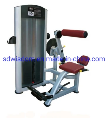Luxury Gym Matser Body Building Commercial Fitness Equipment Seated Calf Raise Trainer