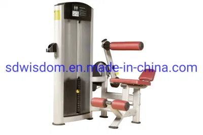 Luxury Gym Matser Body Building Commercial Fitness Equipment Seated Calf Raise Trainer