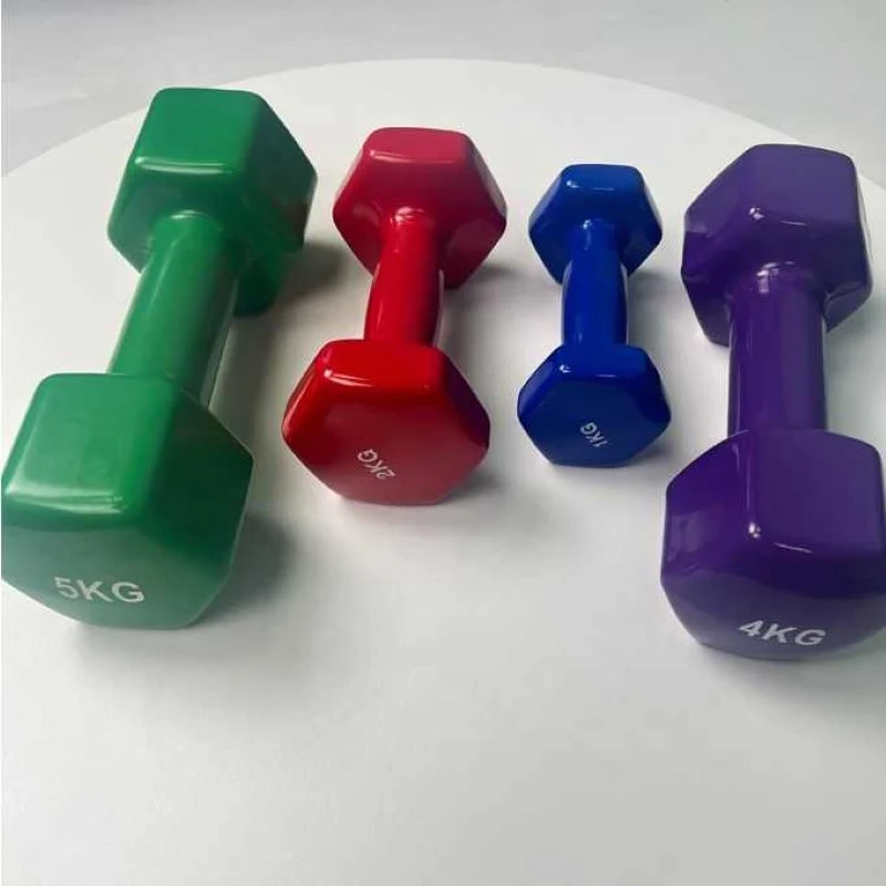 Hot Sale Vinyl Coated Cast Iron Dumbbell