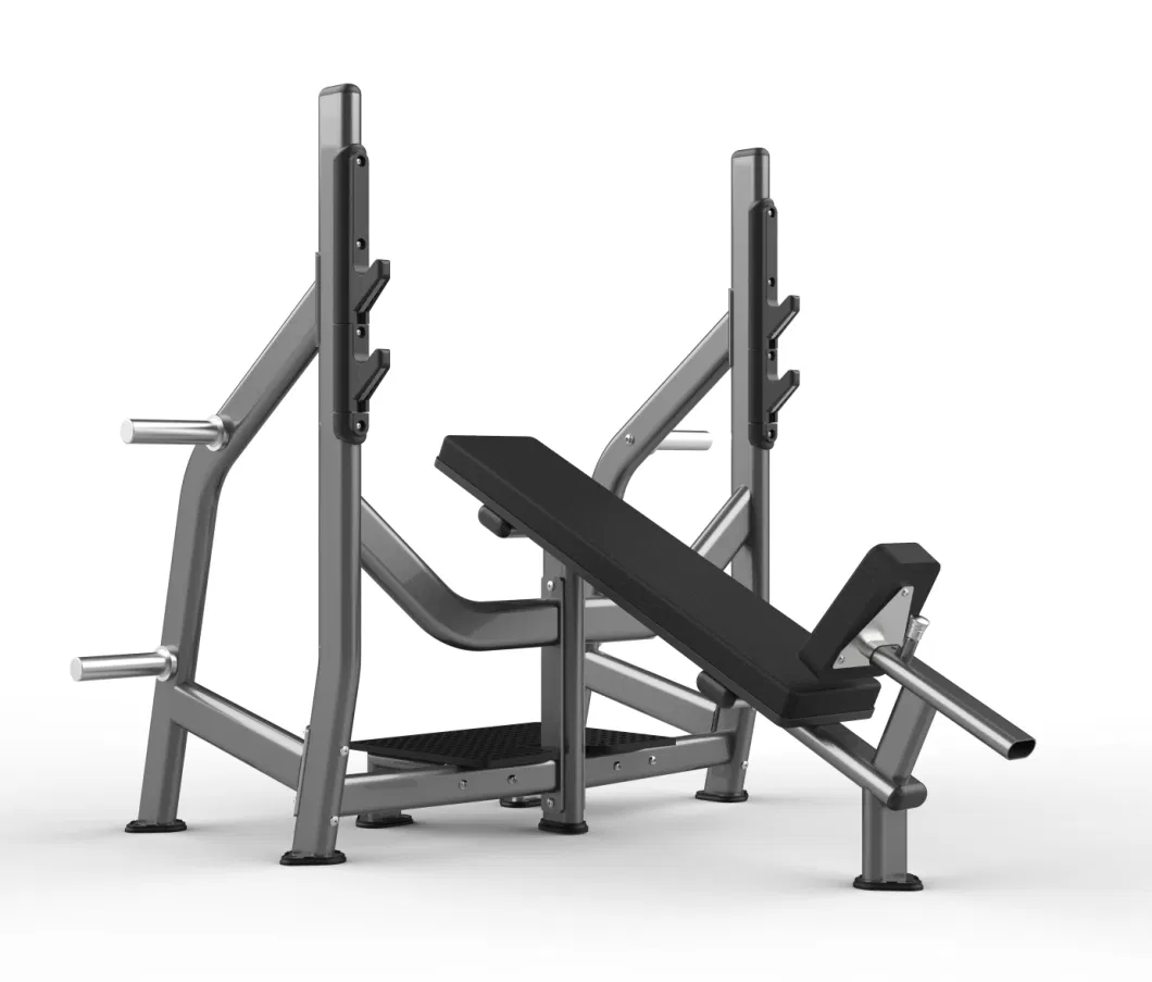 Realleader Training Bench Gym Factory Fw-1002