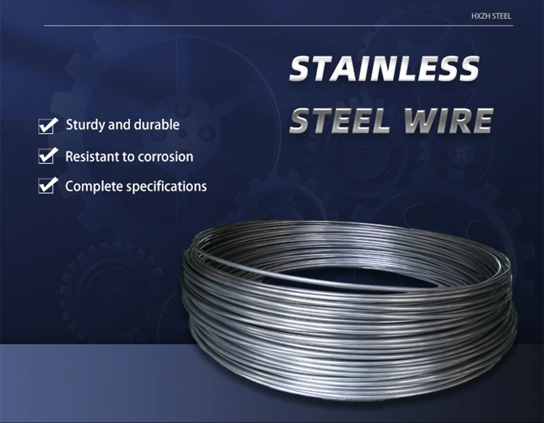 Ss Stainless Steel Wire with Iron Inox Metal MIG TIG Er308 Er309 Er316 Er304 for Gas Welding