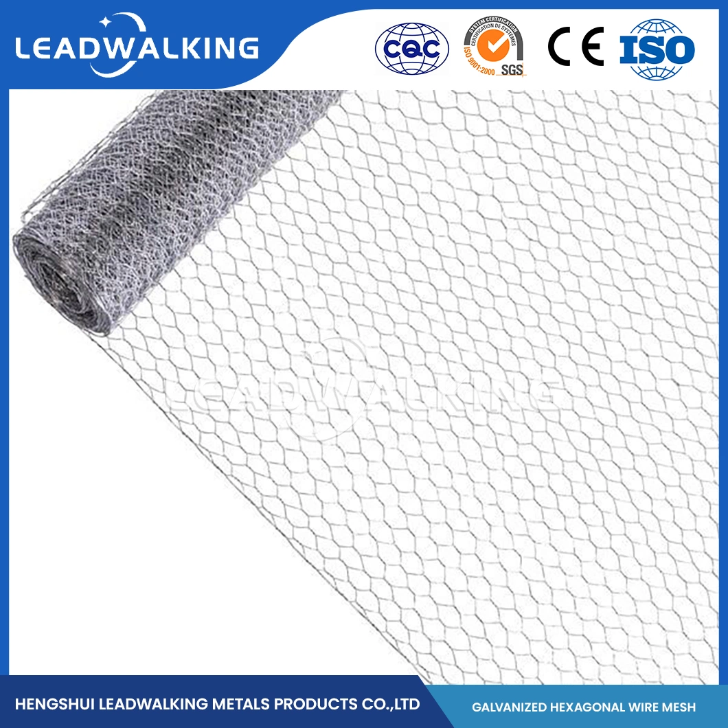 Leadwalking China 3mm Chicken Wire Suppliers Mild Steel Wire Material 3mm Wire Thickness Plastic Coated Hexagonal Mesh