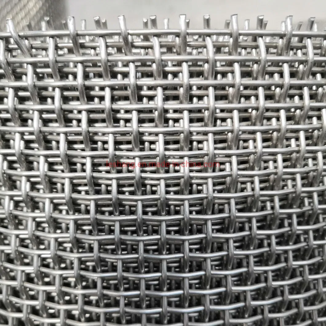 Galvanized /Stainless Steel Wire Mesh/Mild Steel cloth for Filtering