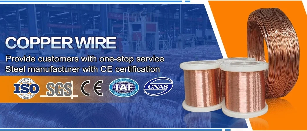 China Best Types 0.8 mm Size MIG Gas Arc Welding Wire Aws Er70s-6