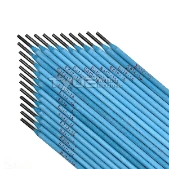 Tyue E310mo-16 Stainless Steel Welding Electrode Welding Rod