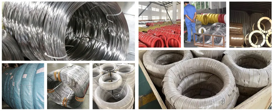 Factory 1mm 1.5mm 2mm 3mm Low Carbon Steel Wire Rod ASTM GB JIS DIN AISI BS International Standard Large Stock Steel Wire for Low Price Stainless Steel Wire