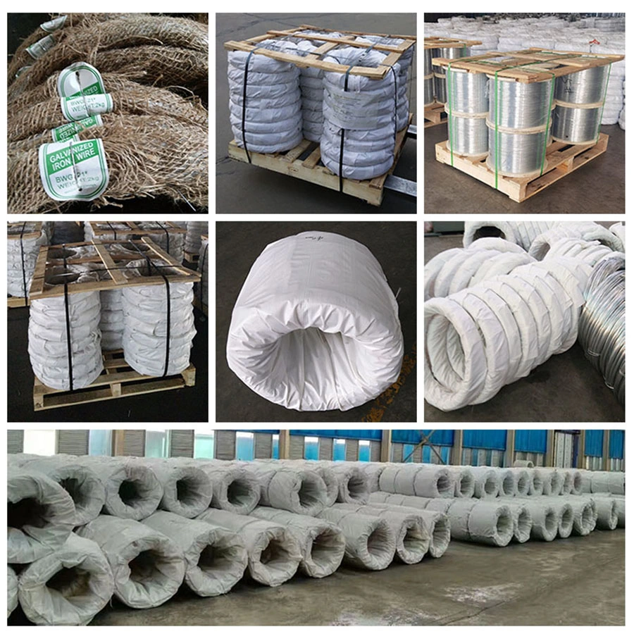 Hot Dipped/Electric Galvanized Mild Steel Binding Wire/Barbed Wire/Steel Iron Wire/Gi Wire/Tie Wire/ for Bundling Purposes/Construction / Decoration