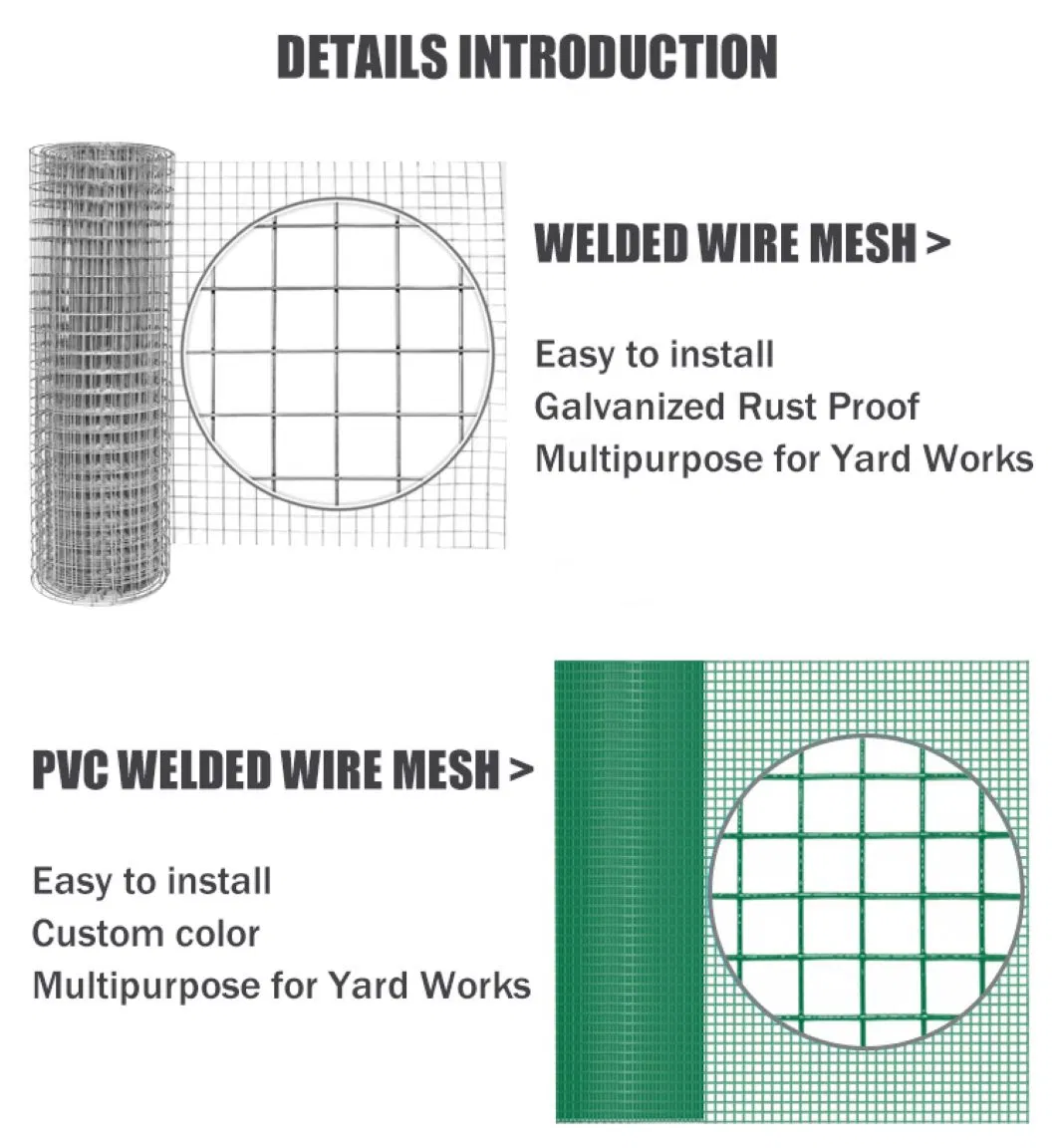 16 Gauge Thickness Square 1/2 Inch Galvanized Welded Wire Mesh