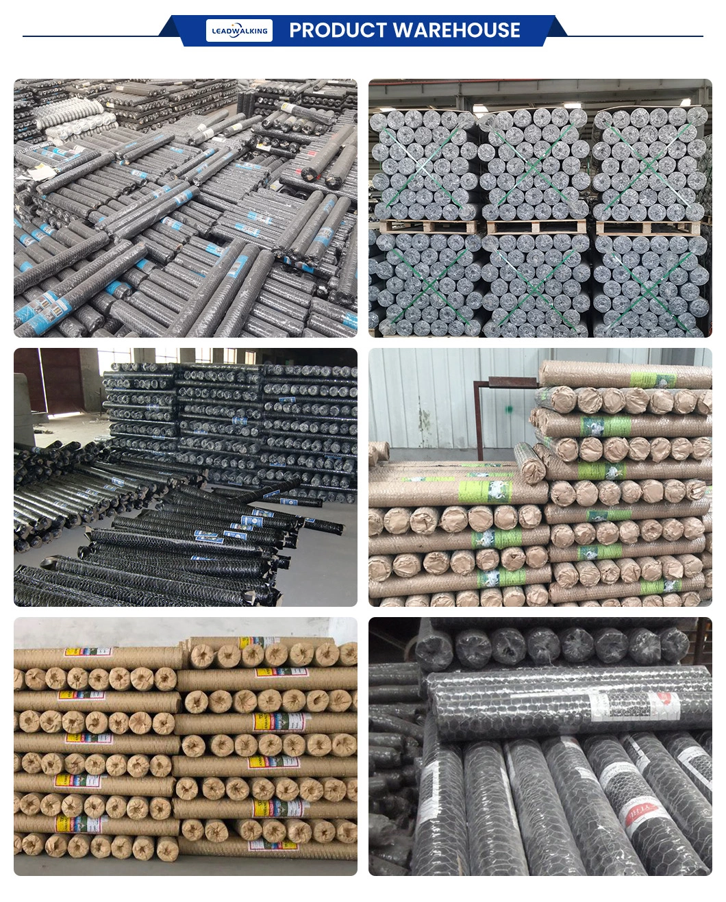 Leadwalking China 3mm Chicken Wire Suppliers Mild Steel Wire Material 3mm Wire Thickness Plastic Coated Hexagonal Mesh