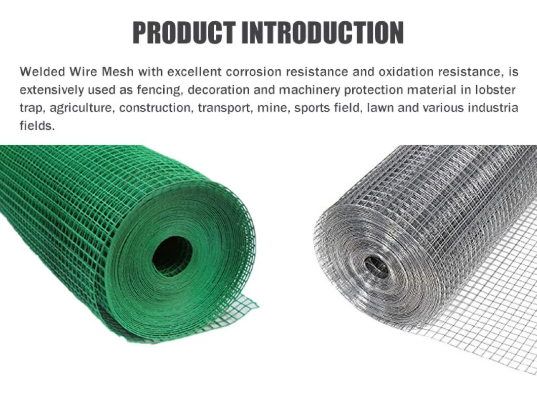 16 Gauge Thickness Square 1/2 Inch Galvanized Welded Wire Mesh