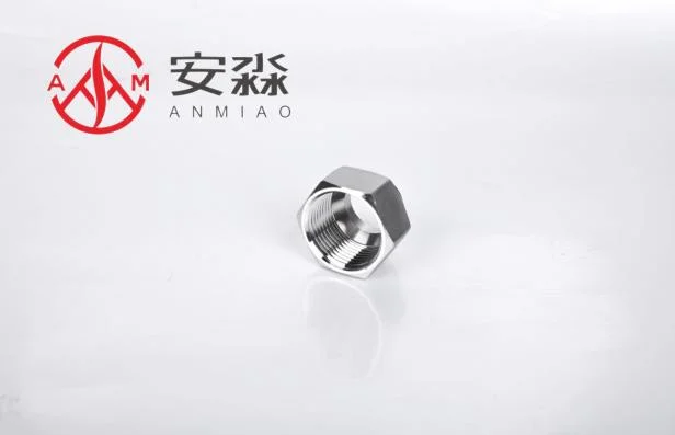 Anmiao Stainless Steel Fittings 304 316L Welding Inner Wire