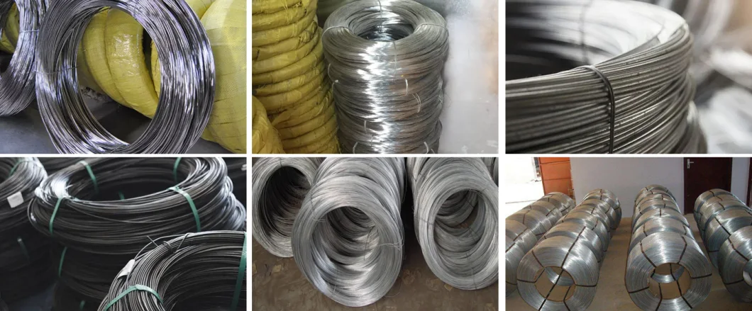 SUS ASTM JIS En 1mm 2mm 3mm Diameter Spring 304 304L 316lhot/Cold Rolled Stainless Steel Wire for Kitchen