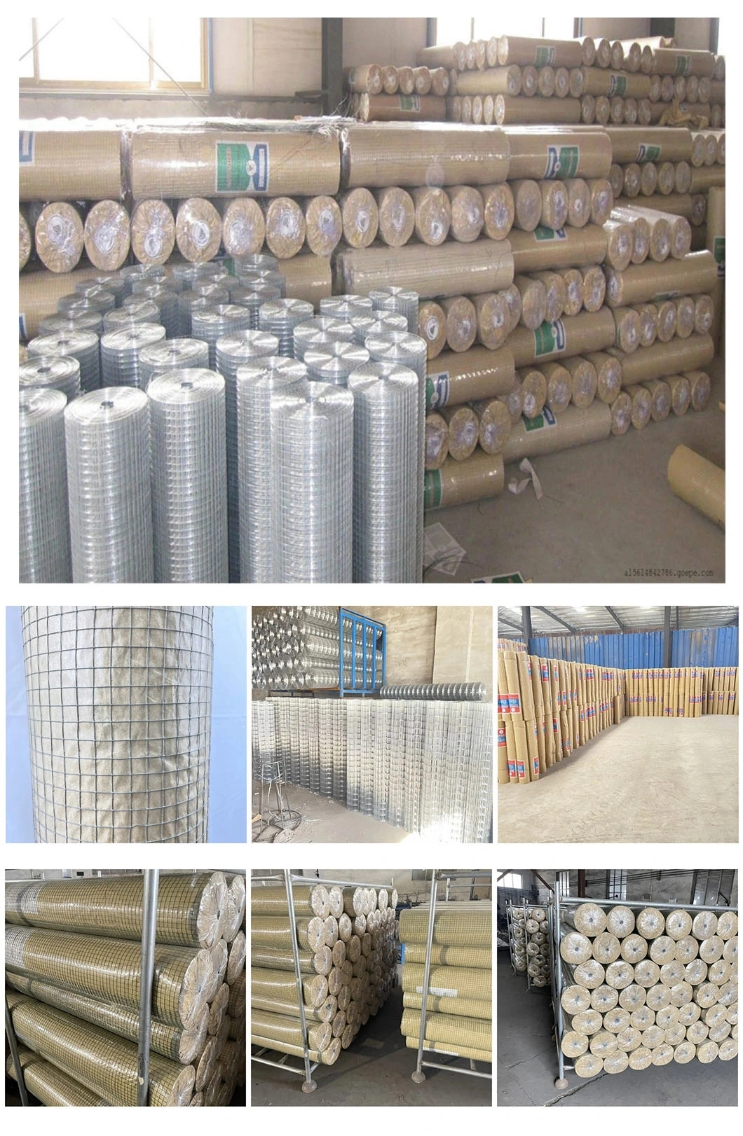 Hot Dipped Galvanized Dog Welded Wire Mesh After Welding Galvanized Welded Wire Mesh