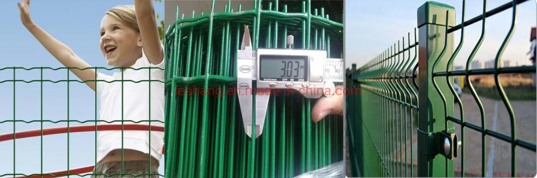 Galvanized /PVC-Coated /Stainless Steel Welded Wire Mesh for Fencing