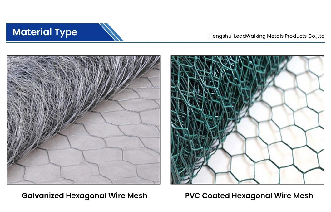 Leadwalking China 3mm Chicken Wire Suppliers Mild Steel Wire Material 3mm Wire Thickness Plastic Coated Hexagonal Mesh