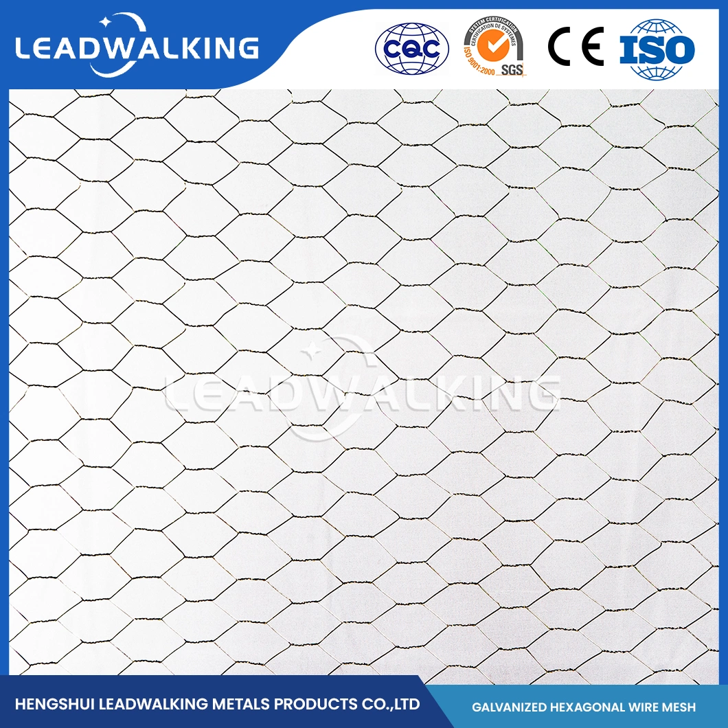 Leadwalking China Square Hole Chicken Wire Manufacturers Mild Steel Wire Material 3/8 Inch Mesh Iron Wire Hexagonal Mesh