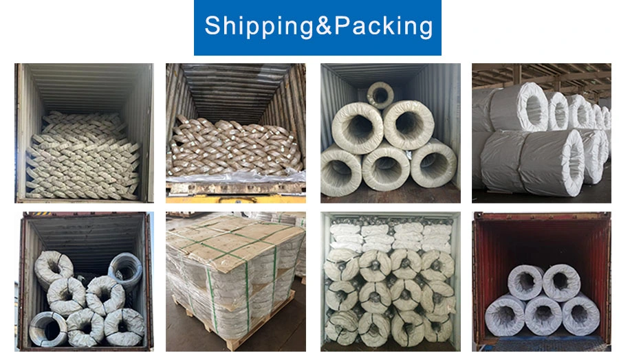 Galvanized Iron Wire/Hot Dipped/Electric Galvanized Mild Steel Binding Wire/Binding Wire/Electro Galvanized Iron Wire/Galvanized Steel Wire for Construction