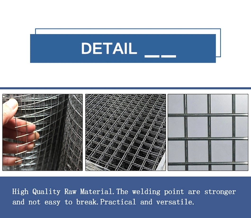 Hot Dipped Galvanized Dog Welded Wire Mesh After Welding Galvanized Welded Wire Mesh