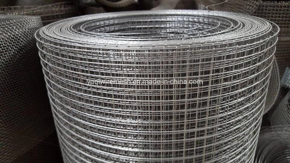 1/2*3&quot; Inch Gaw Galvanized Welded Wire Mesh Bird Cage Welded Wire Mesh