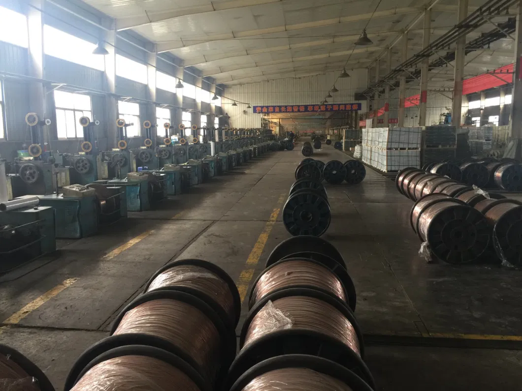 Factory Supply Solid MIG Welding Wire, Mild Steel Welding Wire Er70s-6 0.8mm 1kg Spool for All Position Gas Welding