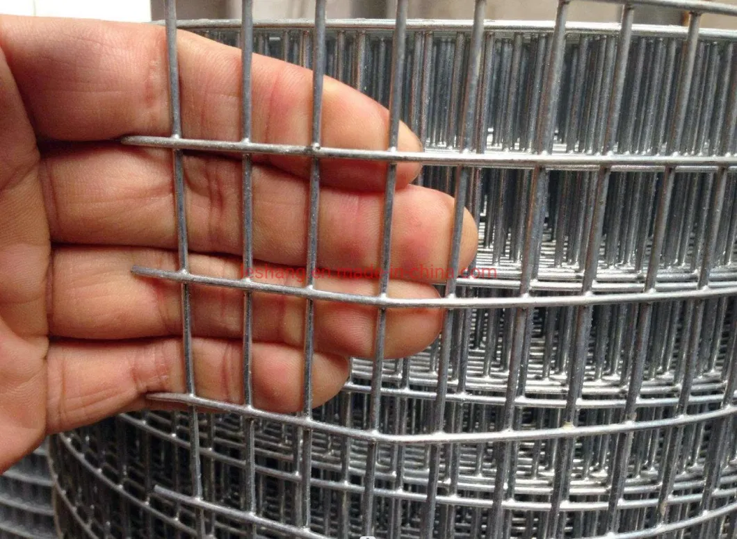 Galvanized /PVC-Coated /Stainless Steel Welded Wire Mesh for Fencing