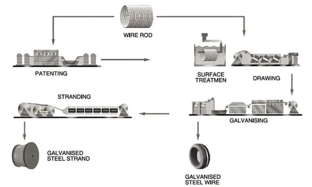 Low Carbon Wire Rod 5.5mm 65mm Steel Wire Rods for Building Material