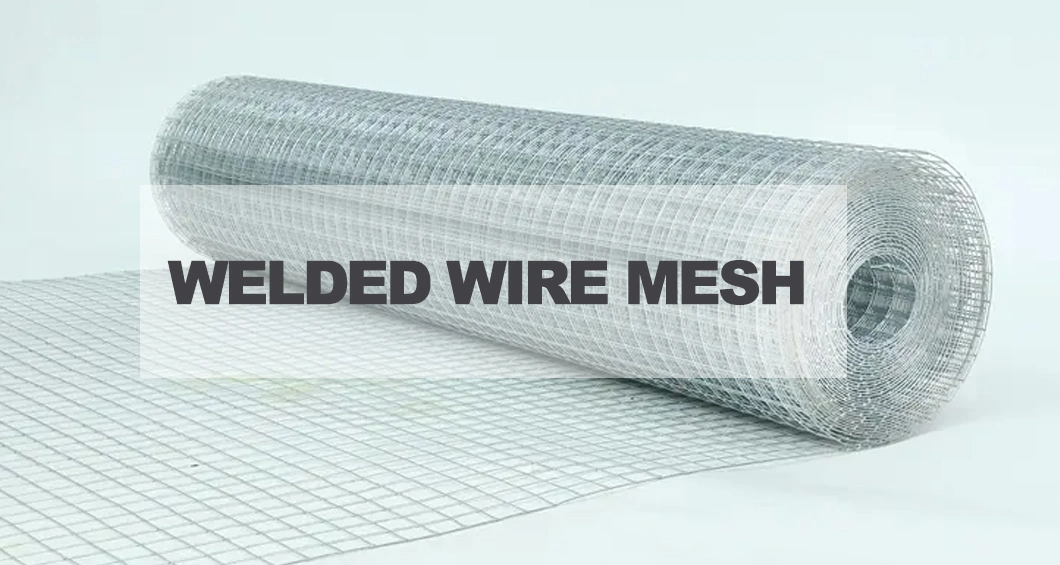 16 Gauge Thickness Square 1/2 Inch Galvanized Welded Wire Mesh