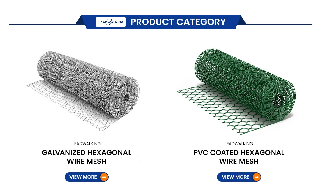 Leadwalking China 3mm Chicken Wire Suppliers Mild Steel Wire Material 3mm Wire Thickness Plastic Coated Hexagonal Mesh