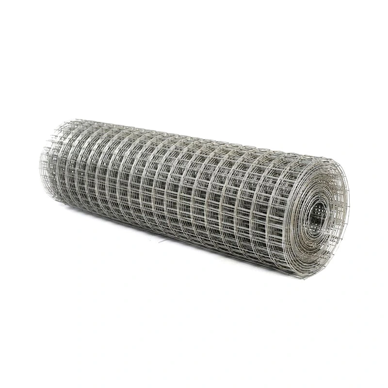 Galvanized Welded Wire Mesh Welding Wire Mesh Factory