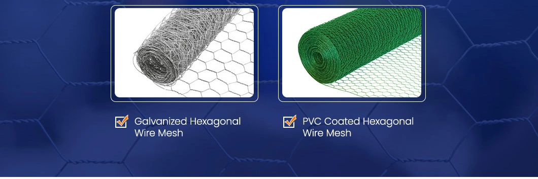 Leadwalking China 3mm Chicken Wire Suppliers Mild Steel Wire Material 3mm Wire Thickness Plastic Coated Hexagonal Mesh