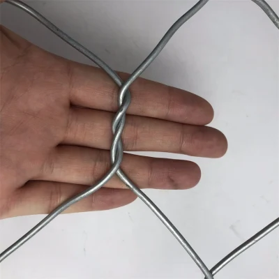 China 60 Avicultura Fabricación de redes PVC alambre material 3cm*1,25 pulgadas Cable galvanizado recubierto de PVC hexagonal 0,23mm malla de alambre galvanizado
