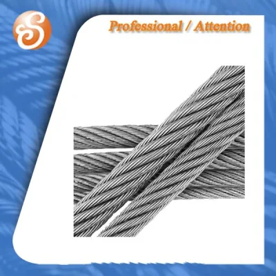  S. S. 304 316 7X7 7X19 Construcción cable de acero inoxidable cuerda