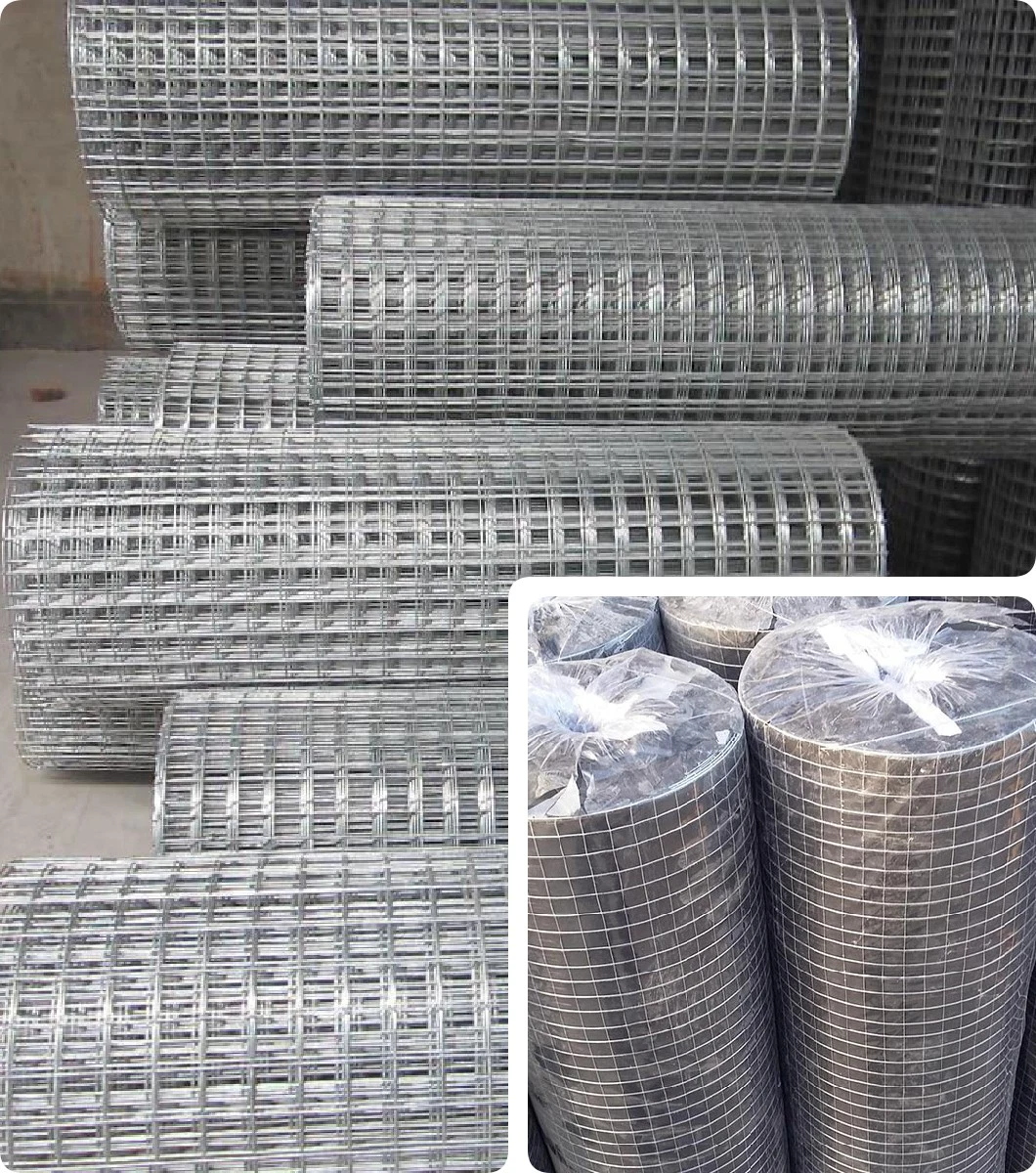 Factory Direct Sell 11 Gauge Galvanized Welded Wire Mesh/ Non Galvanized Welded Wire Mesh Fencing/ 8 Gauge Galvanized 2 X 2 Welded Wire Mesh