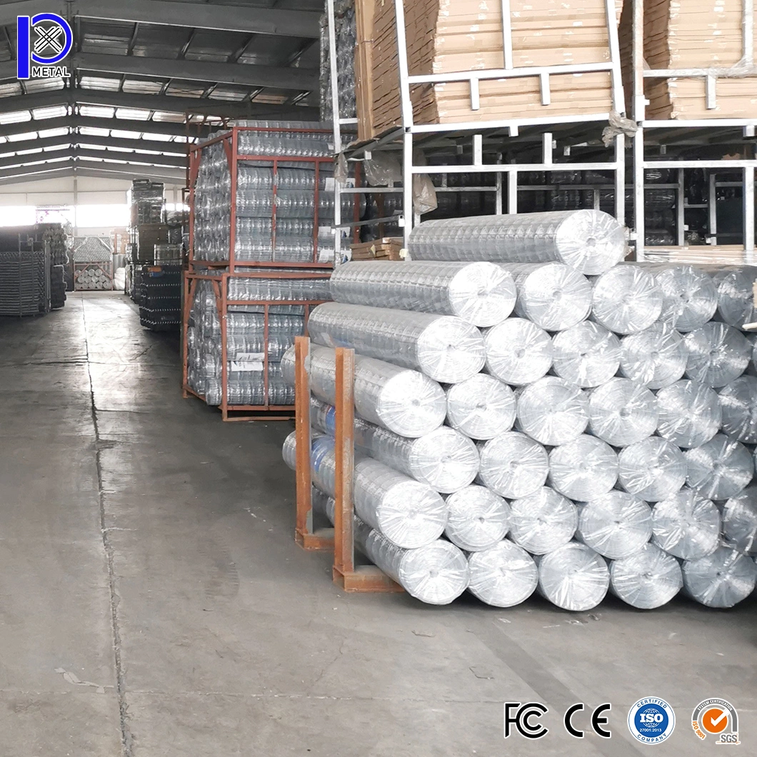 Pengxian 2 X 2 Inch 3 FT X 50 FT Green PVC Coated Welded Wire Roll China Factory 3 16 Welded Wire Mesh Used for T Post Wire Mesh Fencing