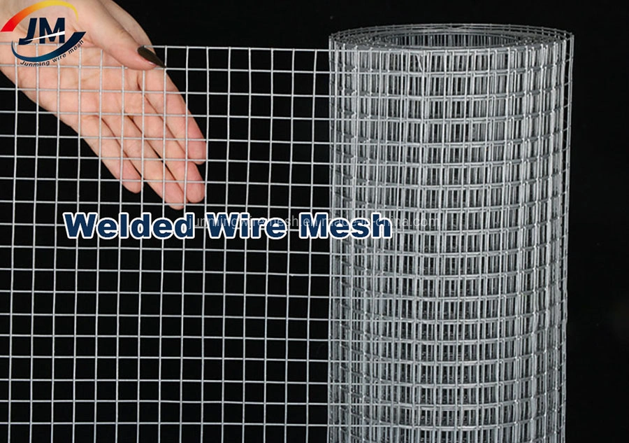 Stainless Steel PVC Coated Hot Dipped/DIP Galvanized Welded Wire Mesh for Garden Agriculture Poultry Animal Rabbit Cage Reinforcement Concrete Construction