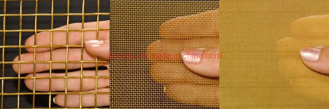 Galvanized /Stainless Steel Wire Mesh/Mild Steel cloth for Filtering