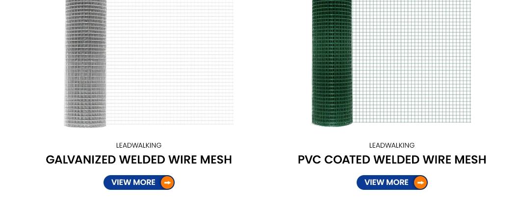 1 2 Inch Mesh Galvanized Welded Wire Mesh Price for Cage/ Chicken Wire Mesh/ Rabbit Wire Mesh/Fence